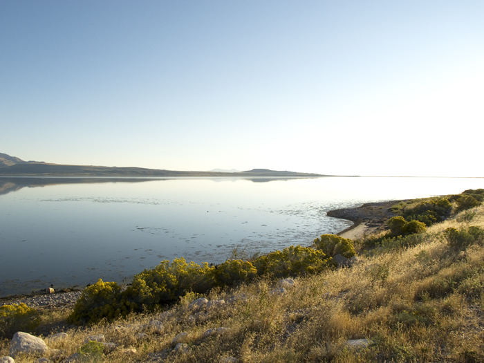 A Naturally High Dynamic Range Photograph