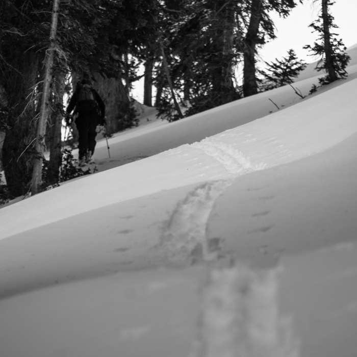 Jesse's Glorious Skin Track