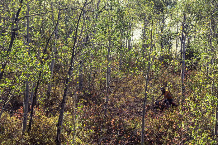 Cattle Trails = Fatbike Single Track