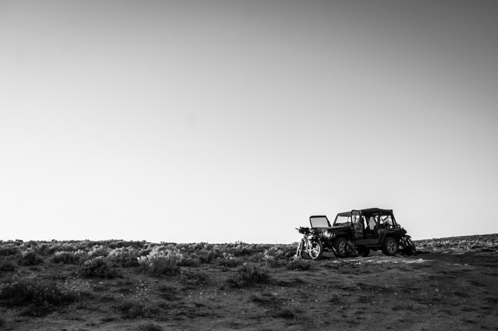 Molly the Midnight Marauder in Her Element