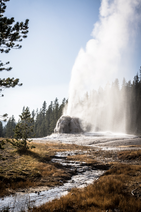 Lonestar Geyser, Yellowstone National Park