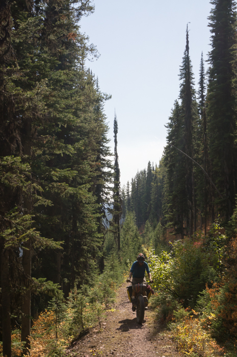 Singletrack in the Swan Range