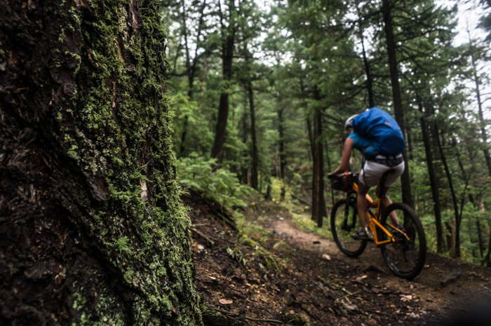 Grete and Green Moss