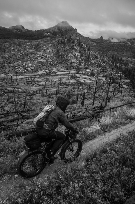 Dave biking through Remnants of the Hayman Fire