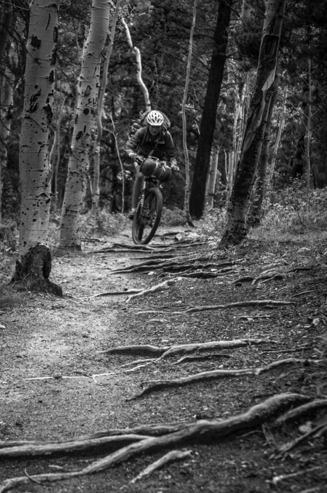 Grete Enjoying Some Roots on Kenosha Pass
