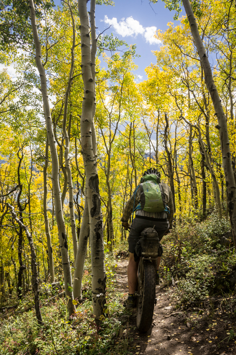 Dave Bursting Through Sunlit Aspen