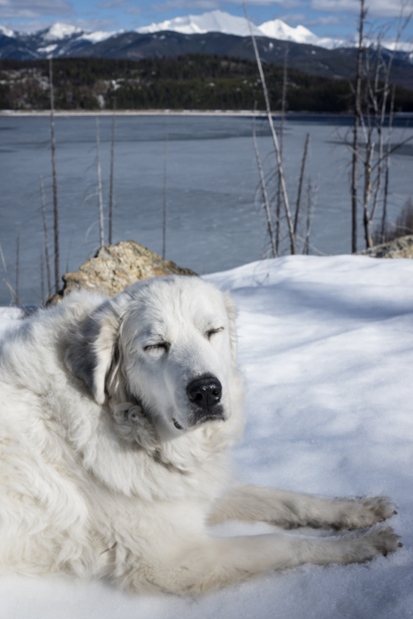 Bonnie, Enjoying Her Favorite Season